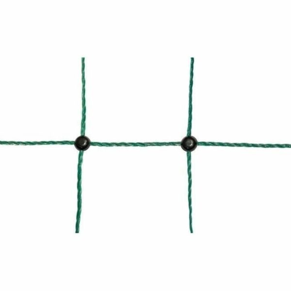S71006981_1
